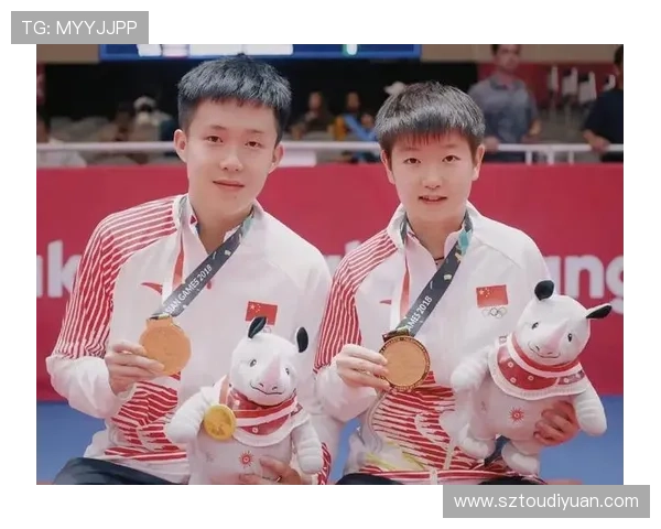 乒乓球团队协作实力大比拼杭州乒乓球队荣登第五名荣耀榜单