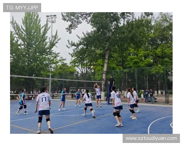 北京排球队在城市联赛中的意识表现分析与评价
